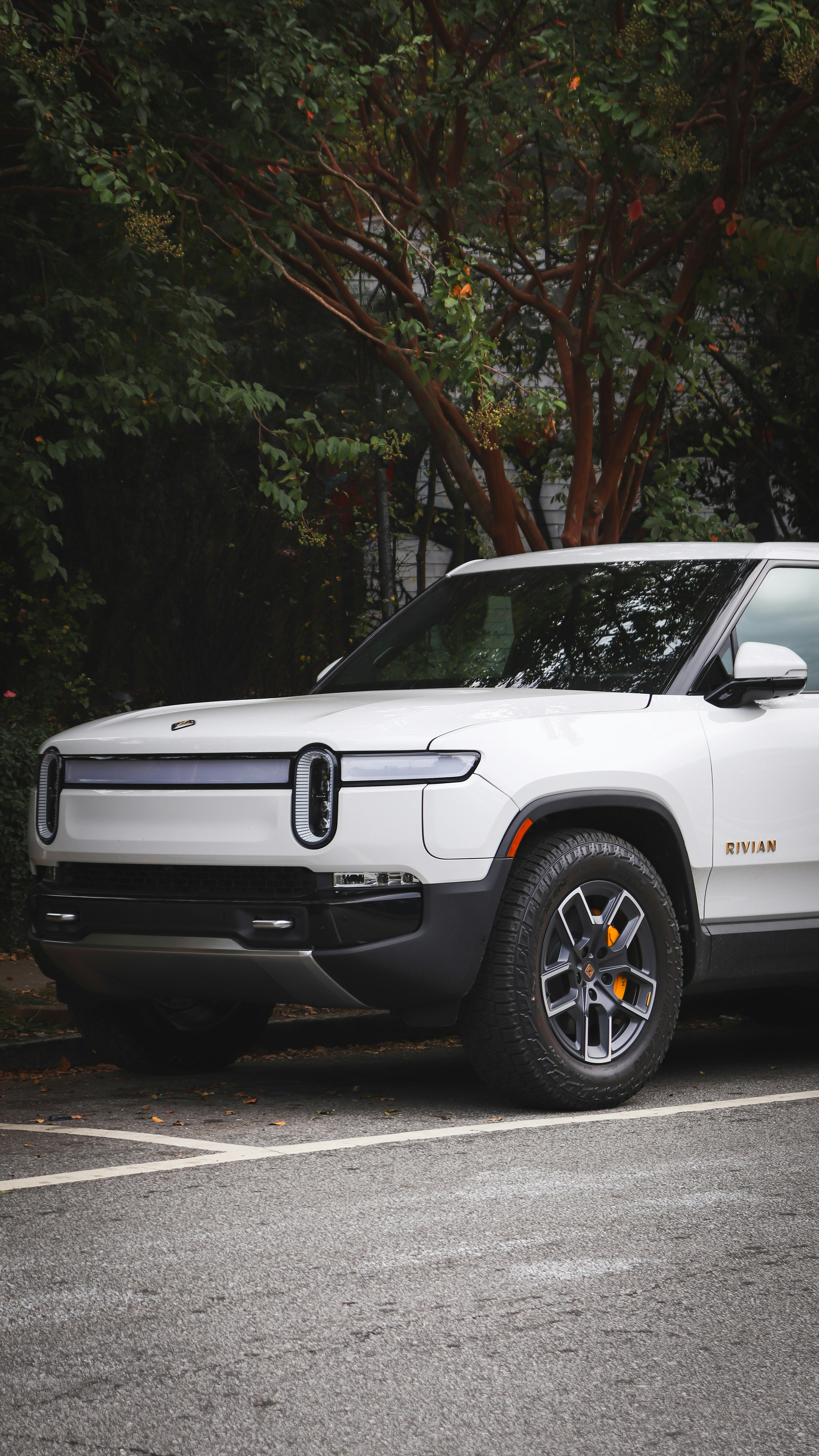 Rivian R1T at Alset Collision